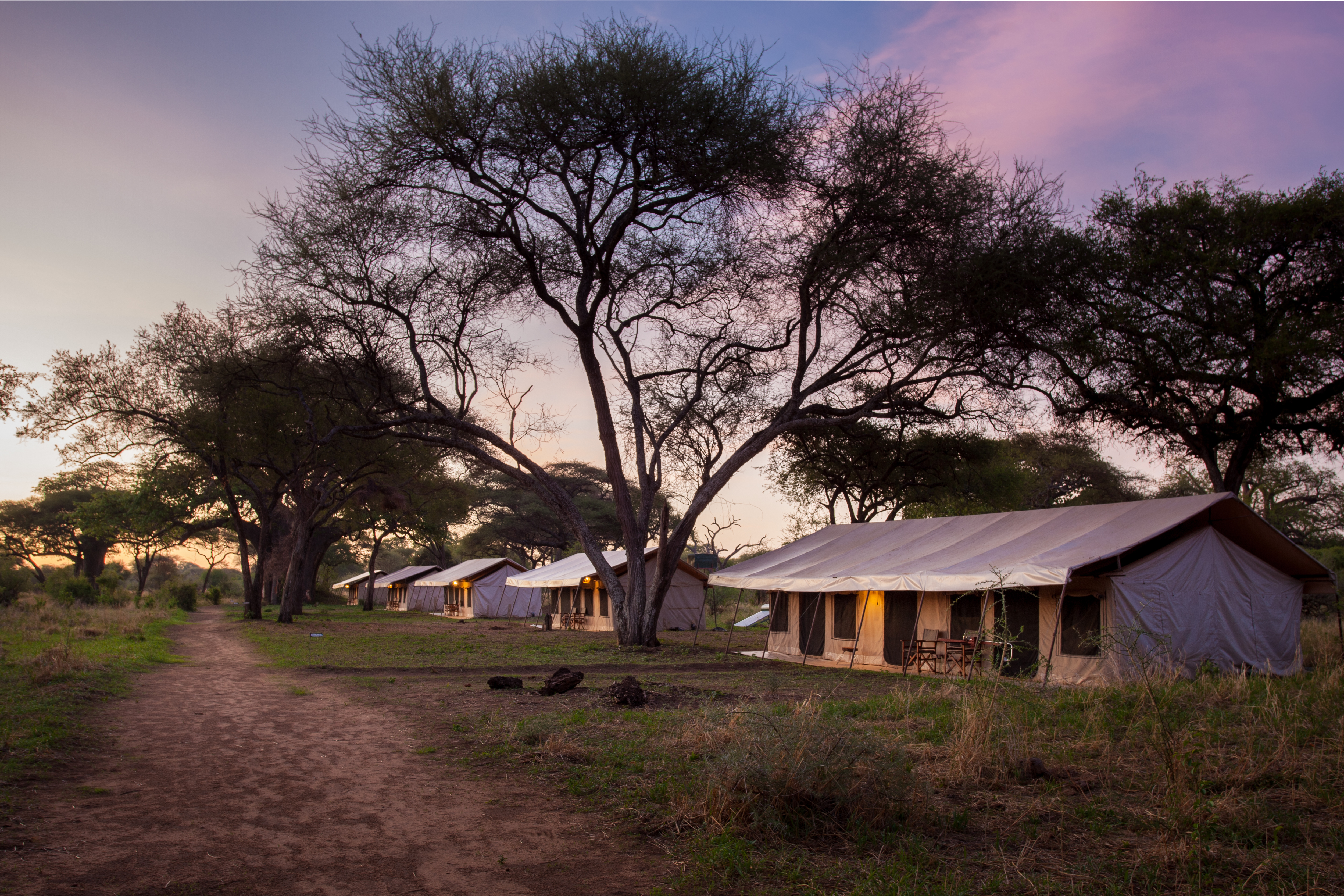 Tarangire Baobab Tented Camp