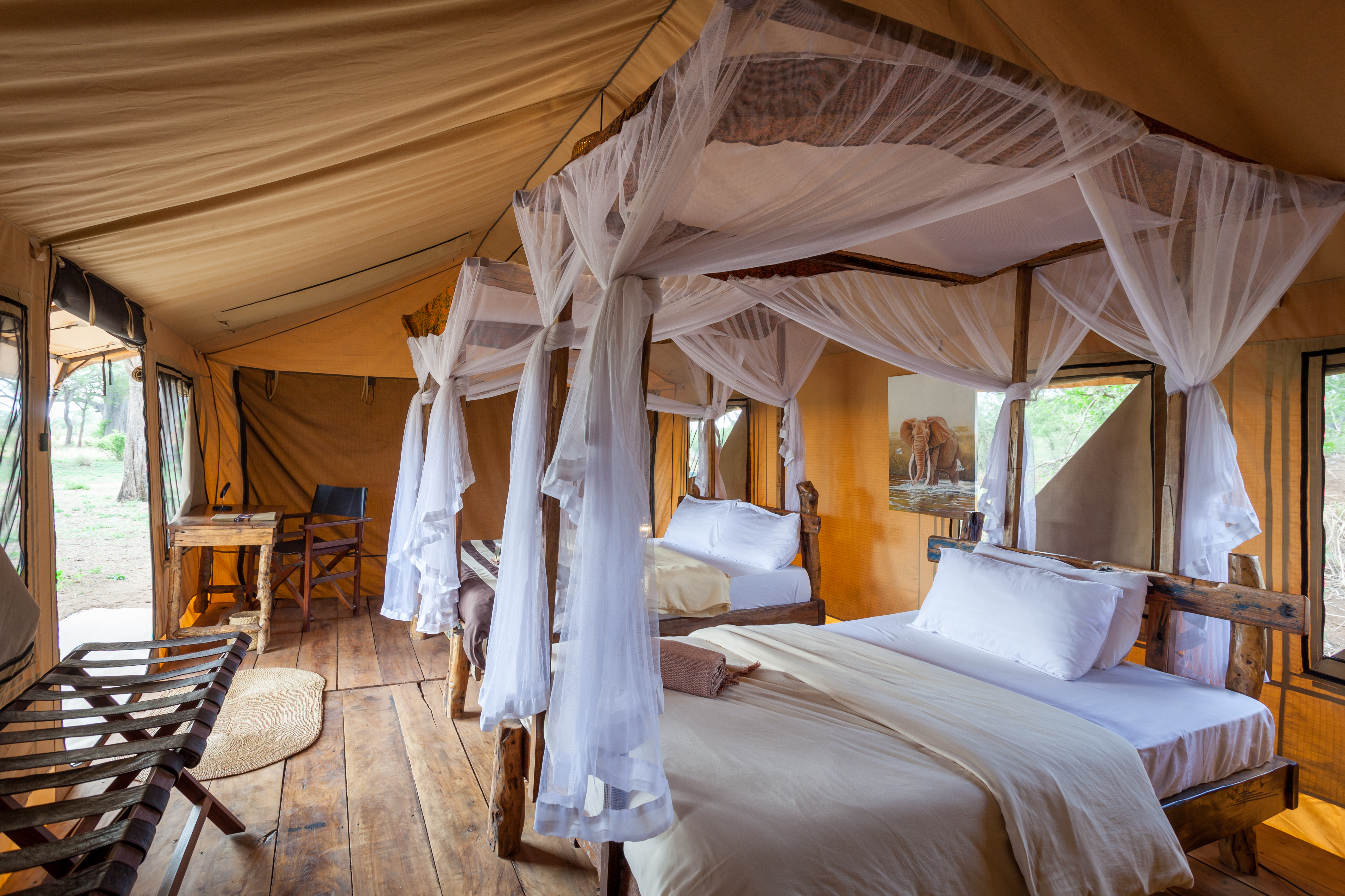 Twin / Double Room