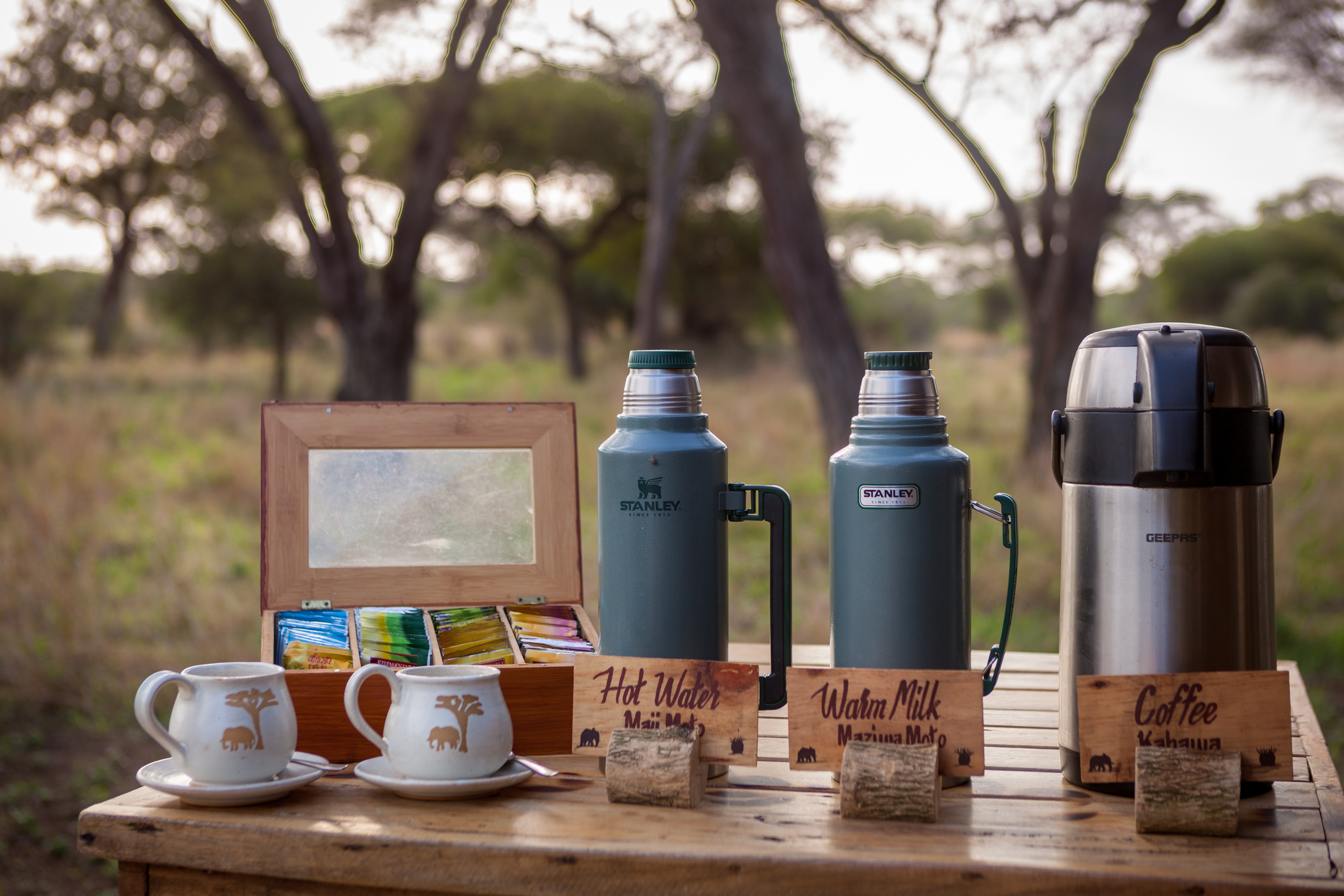 Tarangire Baobab Tented Camp
